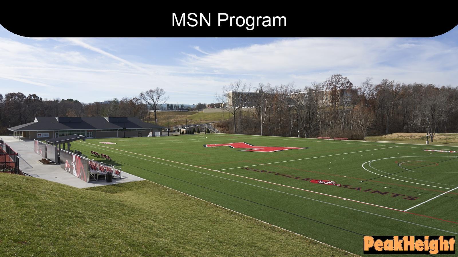 How to Choose the Right MSN Program at Maryville University