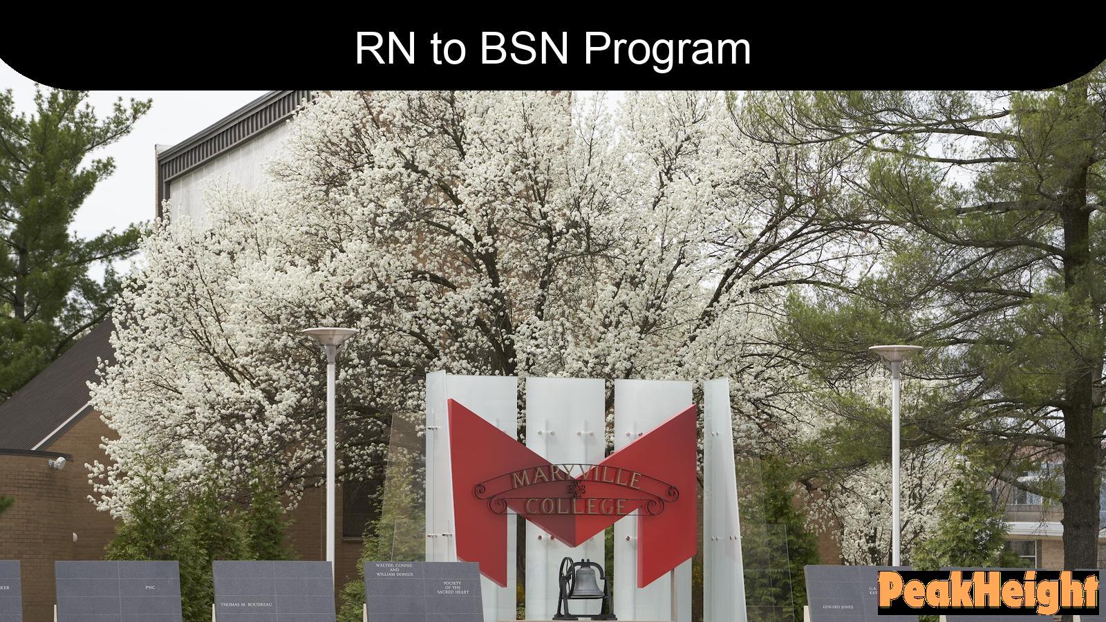 Maryville University’s RN to BSN Program