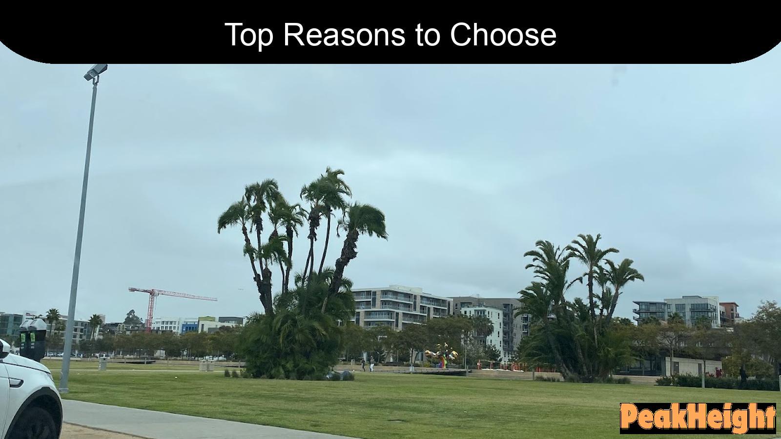 Top 10 Reasons to Choose University of Arizona Global Campus