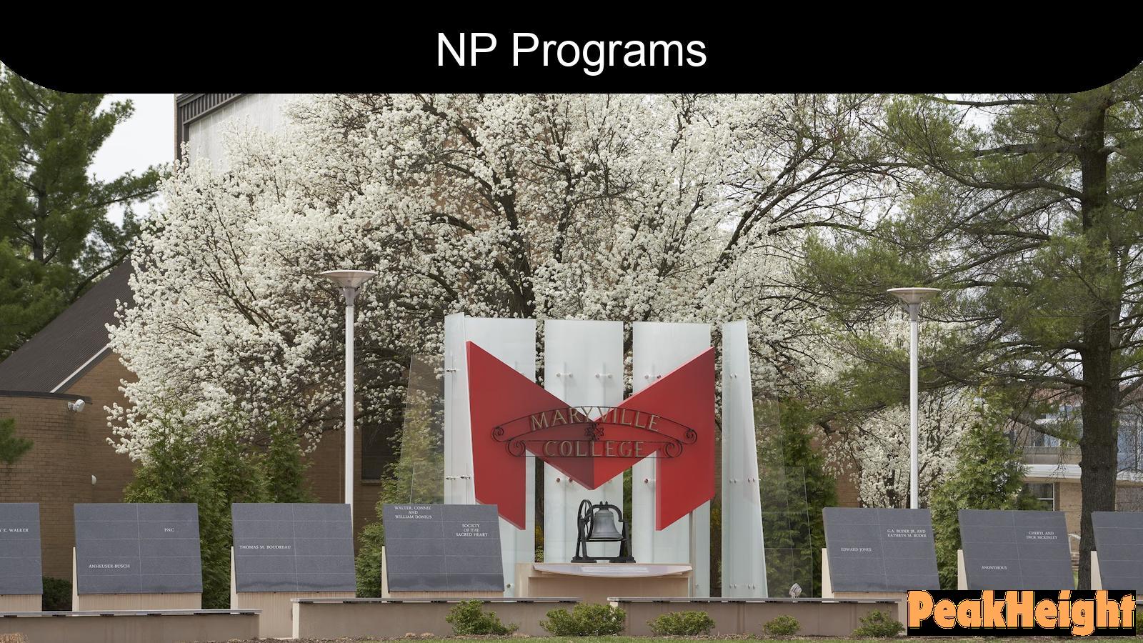 Why Maryville University’s NP Programs are a Top Choice